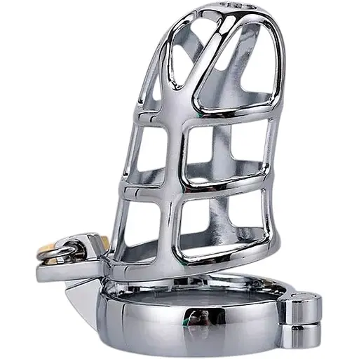 Пояс вірності сучасний Grid Penis сріблястий K000186