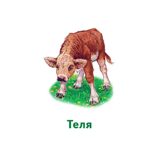 Настольная игра Парочки: Мир животных Ранок 1392003, 6 игр - фото 5