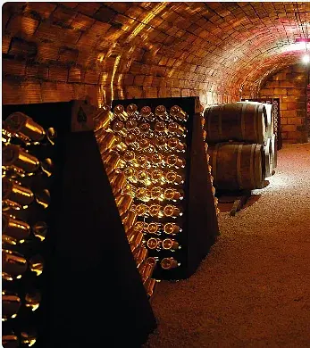 The Treasures of Champagne - фото 4