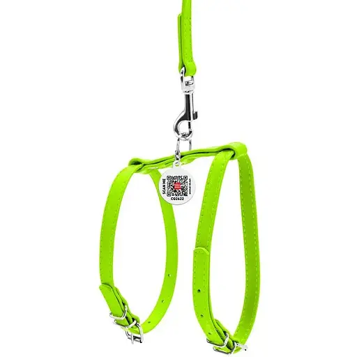 Шлея з повідцем для собак Waudog Glamour шкіряна з QR паспортом, салатовий - фото 2