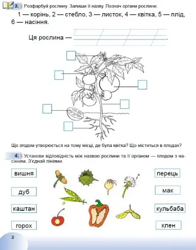 Я досліджую світ 1 клас. Робочий зошит з інтегрованого курсу. Частина 2 - фото 3