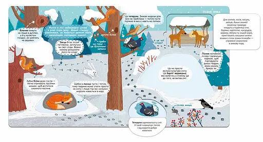 Сезонні зміни у лісі - фото 3