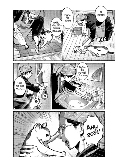 Шлях домогосподаря. Том 1 - фото 5