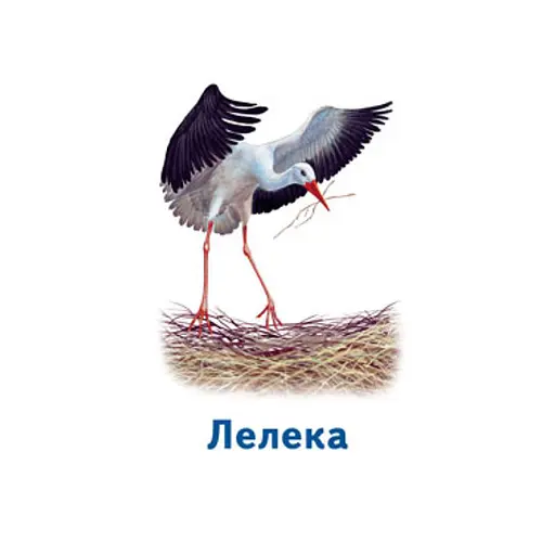 Настольная игра Парочки: Мир животных Ранок 1392003, 6 игр - фото 6