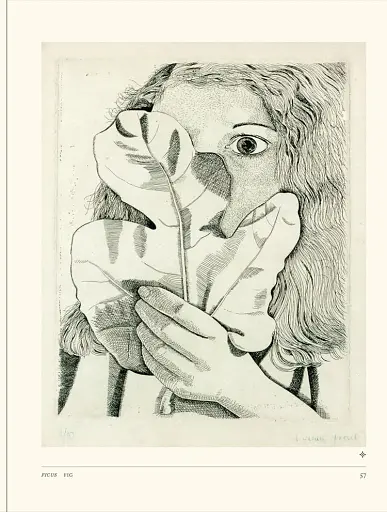 The Secret Language of Plants. Art, Nature Symbolism - фото 5