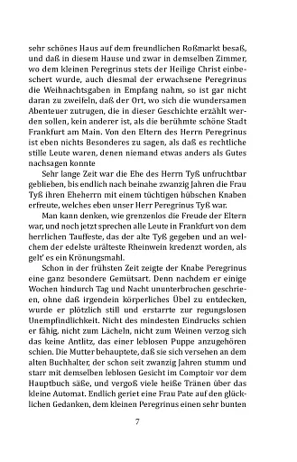 Meister Floh - фото 8