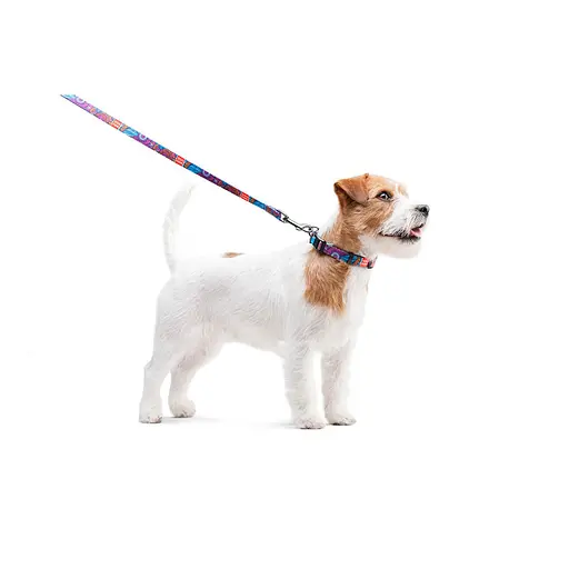 Нашийник для собак нейлоновий Waudog Nylon з QR-паспортом "Літо" пластиковий фастекс Ш 15 мм Д 25-35 см - фото 7