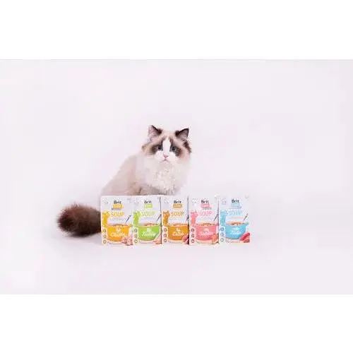 Корм влажный Brit Care Soup with Salmon с лососем 75 г - фото 4