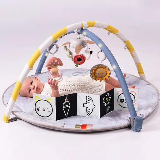 Коврик Taf Toys Солнечные ноты музыкальный с дугами развивающий (13495) - фото 8