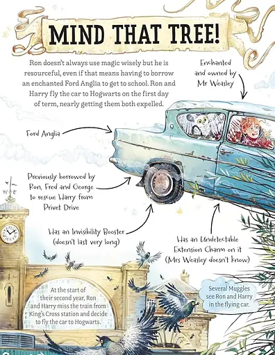 Pocket Potters: Ron Weasley - Ролінґ Джоан - фото 6