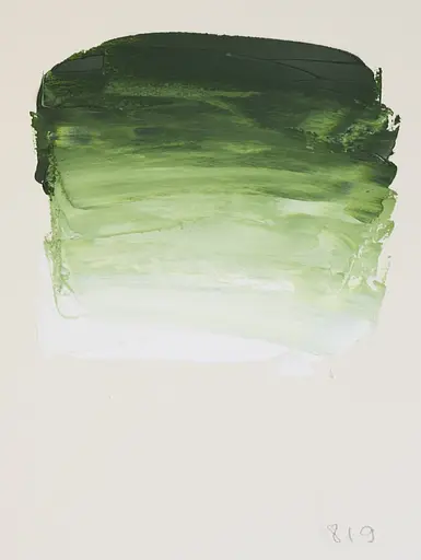 Масляная краска Rive gauche 40 мл, Сочный зеленый (Sap Green) - фото 2