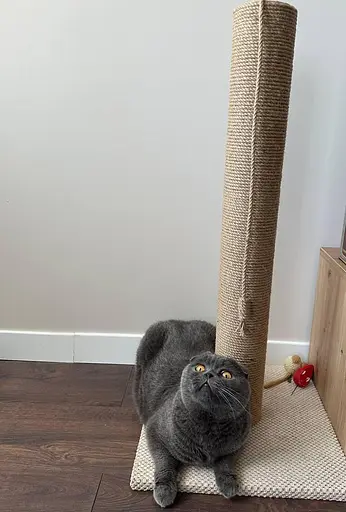 Когтеточка столбик на подставке (джут) 82х40х40 см Бежевый