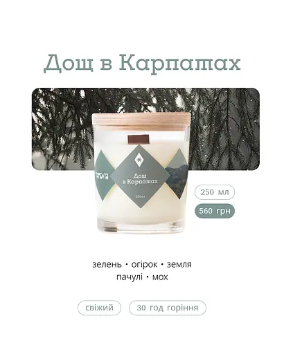 Дощ у Карпатах 250 мл 30 год Соєвий віск Стандартні - фото 3