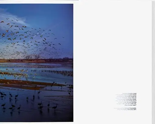 Stephen Wilkes. Day to Night - фото 9