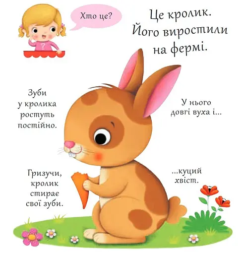 Книга Хто це? Кролики. Автор - Емілія Бомон, Наталя Беліно (Богдан) - фото 2