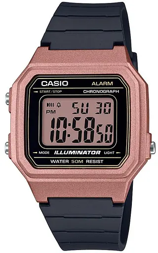 Годинник CASIO W-217HM-5AVEF