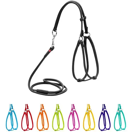 Шлея з повідцем для собак Waudog Glamour шкіряна з QR паспортом, кругла, чорний - фото 3