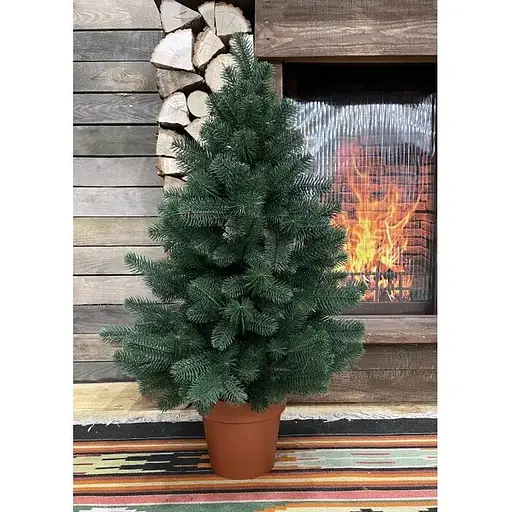 Ялинка Hvoya Premium лита у горщику 90 см зелена - фото 2