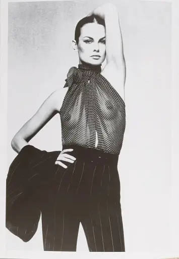 Sheer. Yves Saint Laurent: The Diaphanous Creations of Yves Saint - фото 9