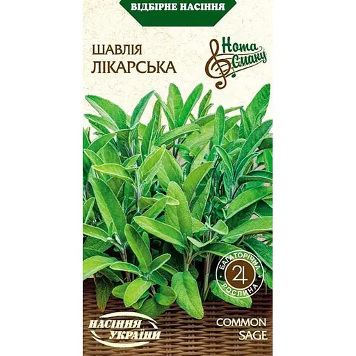 Семена шалфея лекарственного Семена Украины 0.2 г (574500)