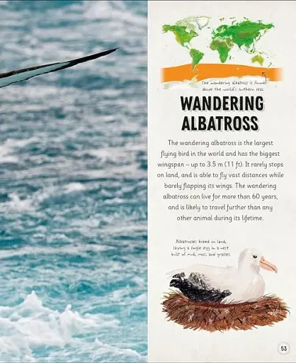 Amazing Animal Journeys - фото 3