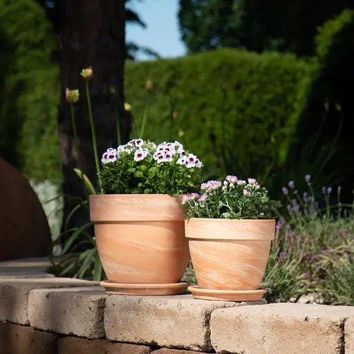 Вазон керамічний Spang Levante 24x19 см світла теракота (1051552) - фото 2