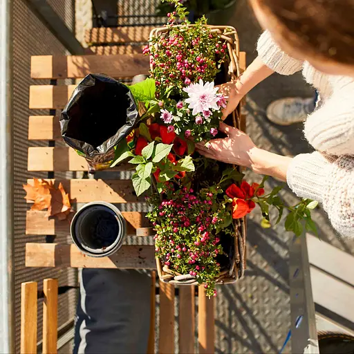 Торфосмесь универсальная COMPO SANA® 20 л - фото 12