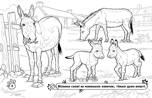 Розмальовка з тваринами. Тварини на фермі - фото 4
