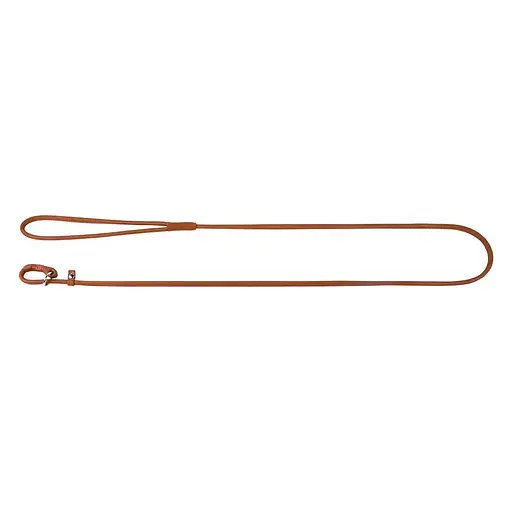 Поводок-удавка для собак Waudog Soft кожаный круглый, Д 6 мм, Дл135 см коричневый - фото 2