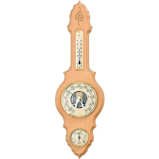 Метеостанція Moller 203026 Beech (203026) - фото 1