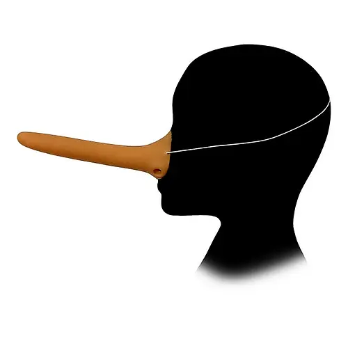 Ніс Піноккіо - фото 1