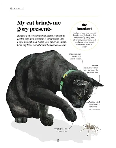 What's My Cat Thinking? Understand Your Cat to Give Them a Happy Life - фото 7