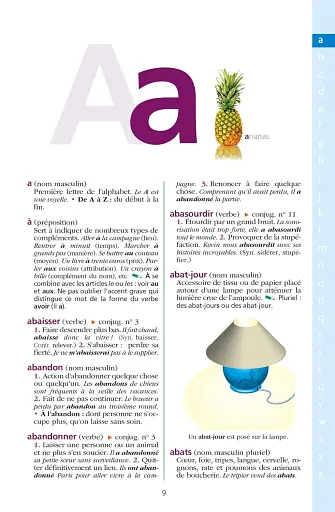 Dictionnaire Hachette Junior. CE-CM - фото 3