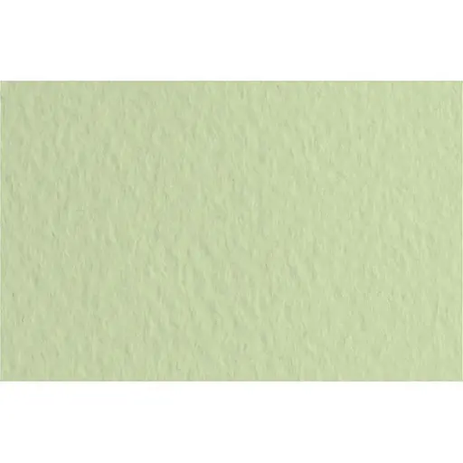 Папір для пастелі Fabriano Tiziano A4 (21х29.7см) №11 verduzzo 160г/м2 салатовий середнє зерно - фото 1
