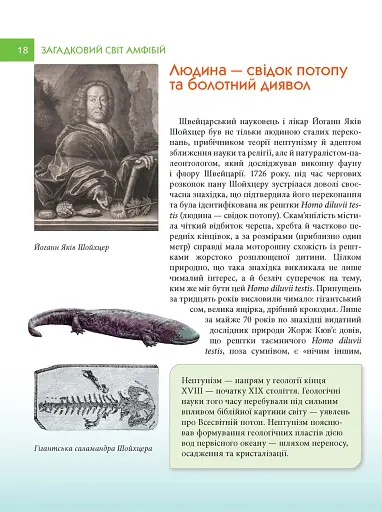 Загадковий світ амфібій - фото 3