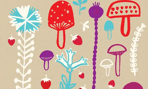 Книга Лічилка. Автор - Романишин Романа, Лесів Андрій (Богдан) - фото 5