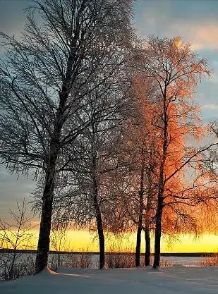 Lagom. The Swedish Secret of Living Well - фото 3