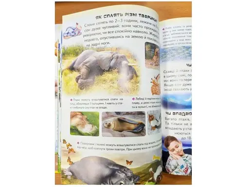 Книга Велика дитяча енциклопедія, Пегас (укр) - фото 8