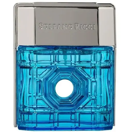 Парфюмерная вода Stefano Ricci Beverly Hills 100 мл - фото 1