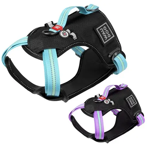 Шлейка для собак Waudog Nylon безопасная с QR паспортом, металлическая пряжка-фастекс, M, голубая - фото 3