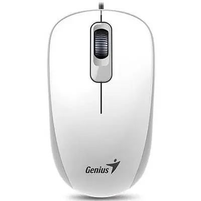 Мышь Genius DX-110 USB White (31010116102) - фото 1