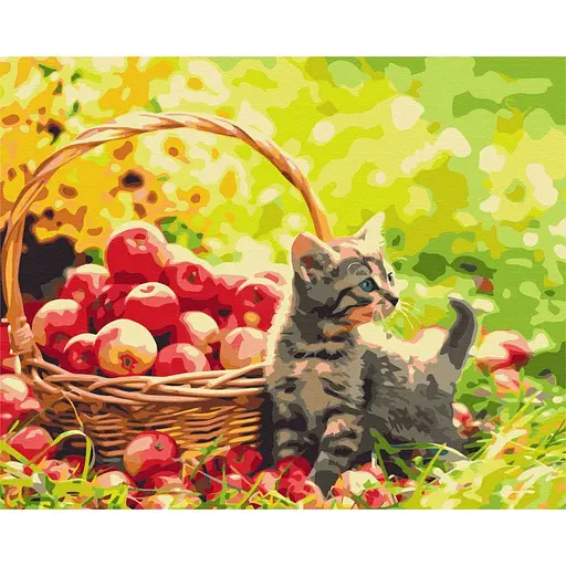 Картина за номерами Яблучний котик Brushme 40x50 см кольорова 000221326