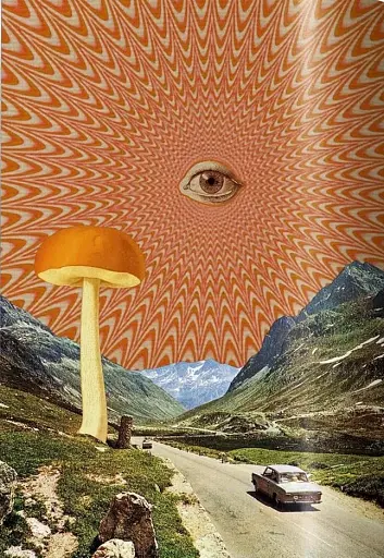 Plant Magick. The Library of Esoterica - фото 10