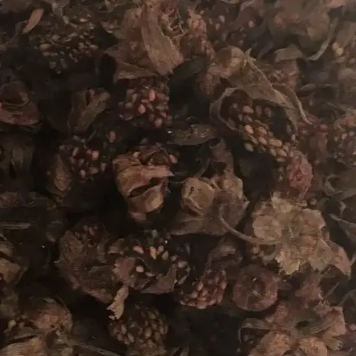 100 г суниця лісова сушені ягоди/плоди - свіжий урожай