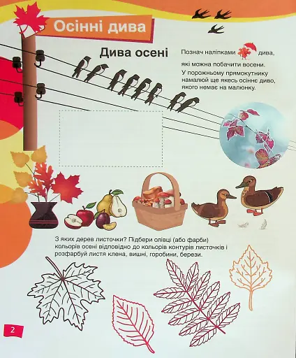 Щабельки. Природограй. Ознайомлення з природним довкіллям - фото 2