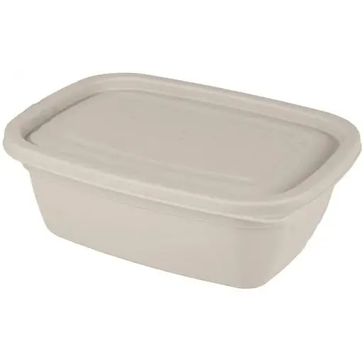 Контейнер пищевой LATTE Banquet 0.55л пластик