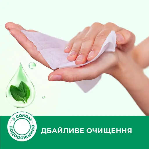 Вологі серветки Smile Antibacterial, з подорожником, 100 шт. - фото 3