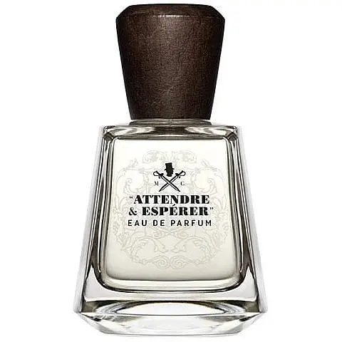 Парфюмированная вода оригинал тестер Frapin Attendre & Esperer 100 мл - фото 1