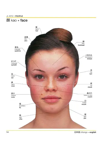 Japanese-English Bilingual Visual Dictionary - фото 9