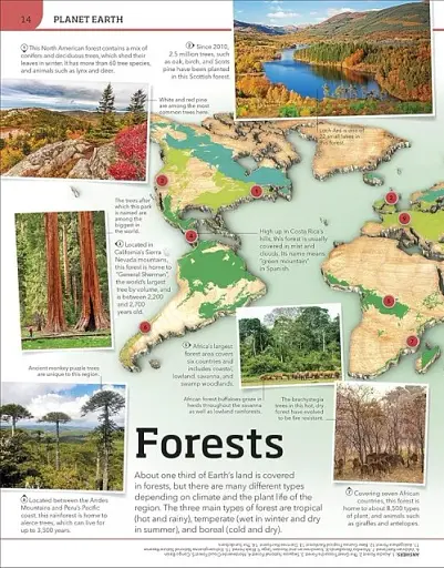 Earth Knowledge Genius - фото 2